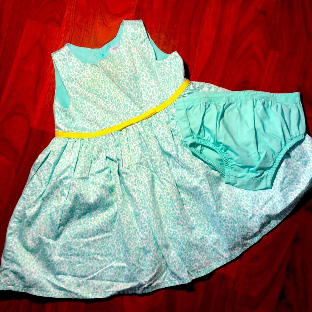 Carter’s Dress | 18 month | Special Occasion
